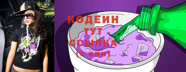 прущие грибы Вяземский